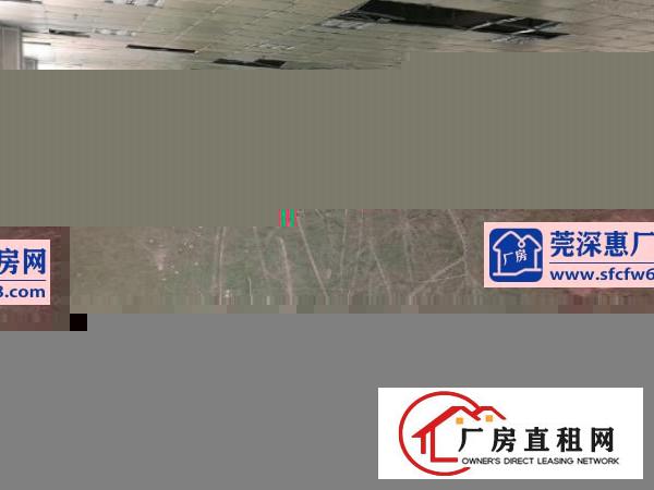  龙岗南联第六工业区独院厂房出租8800平方可分租