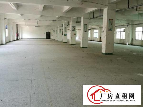  龙岗南联第六工业区独院厂房出租8800平方可分租