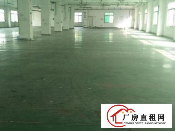  龙岗南联第六工业区独院厂房出租8000平方可分租