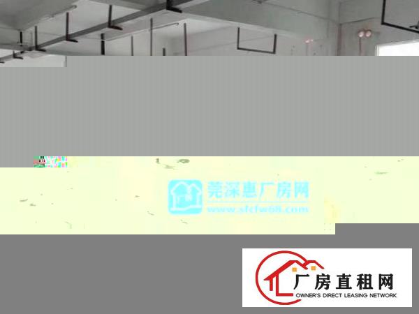  龙岗南联原房东独门独院共5000平实际面积出租