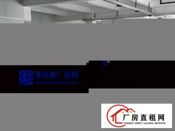  龙岗南联原房东独门独院共5000平实际面积出租
