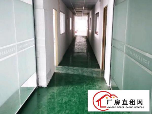  南联爱联同乐新生厂房出租200平米到3000平米
