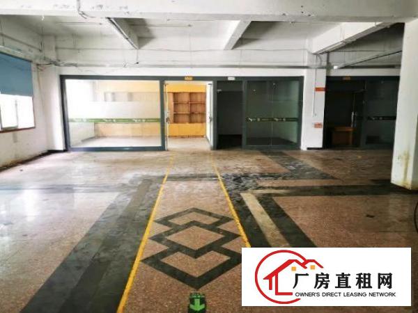  南联爱联同乐新生厂房出租200平米到3000平米