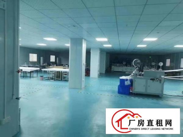  南联爱联同乐新生厂房出租200平米到3000平米
