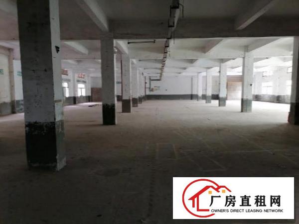  龙岗南联红本厂房出租，200-5000，独院可分租，易招工。
