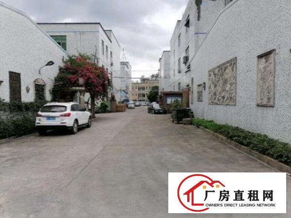  龙岗南联红本厂房出租，200-5000，独院可分租，易招工。
