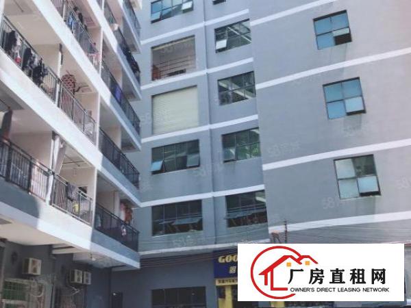  业主640平龙岗爱联地铁口厂房出租采光通风户型方正价格面谈