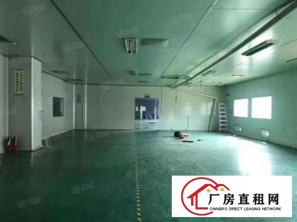  龙岗区南联原房东无尘车间厂房1000平方招租400平起租