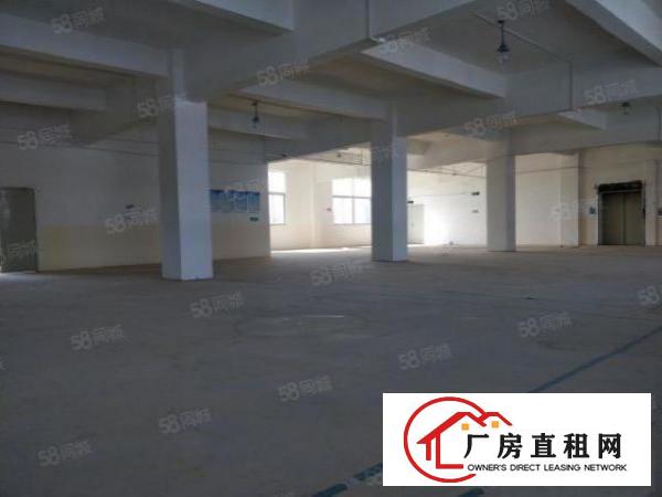  一手业主直招厂房办公室