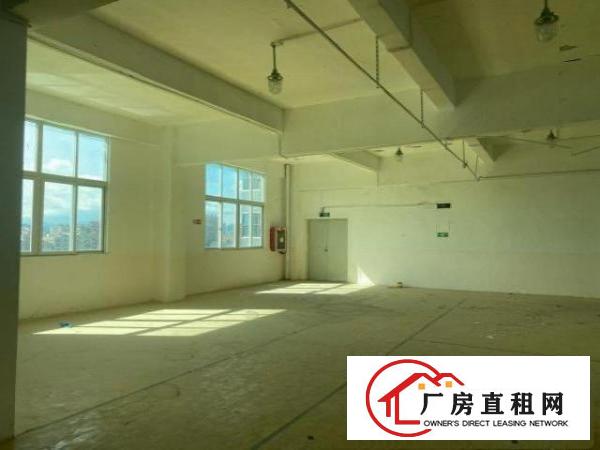  一首房东出租龙岗南联独门独院厂房没中介费价格可谈