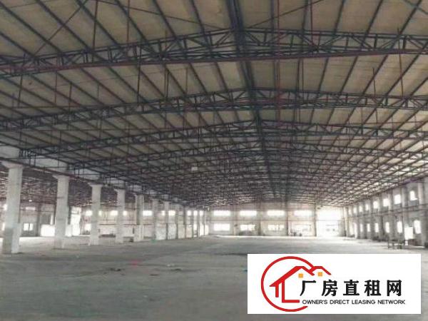  南联独门独院单一层钢结构2500厂房出租