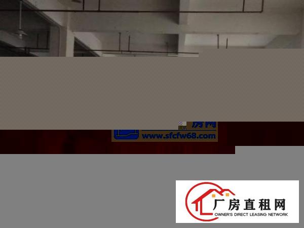  南联原房东标准一楼整层1280平方出租门口空地2700