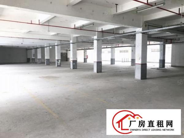 龙岗镇爱联独院厂房三层共4200m2整租也可分租空地面积大