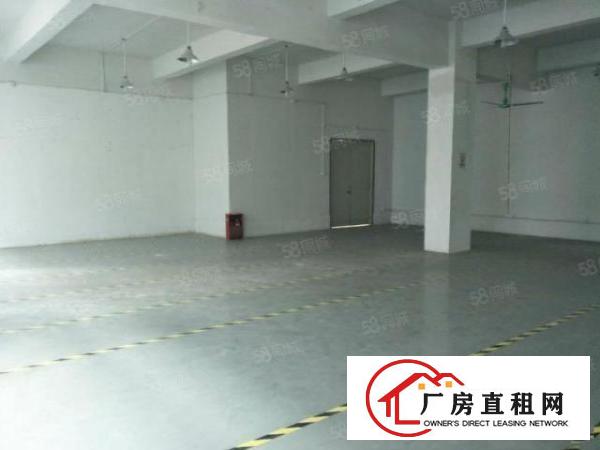  龙岗南联地铁大型产业园小加工厂房业主直招
