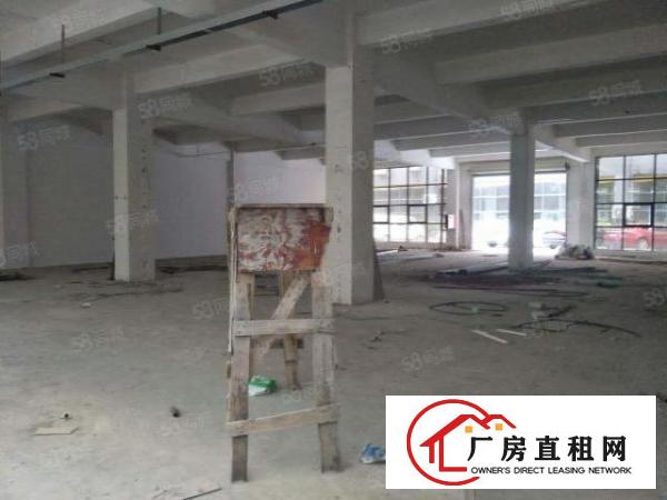  房东直招一楼厂房可做仓库，行业限制要求低，配套完善