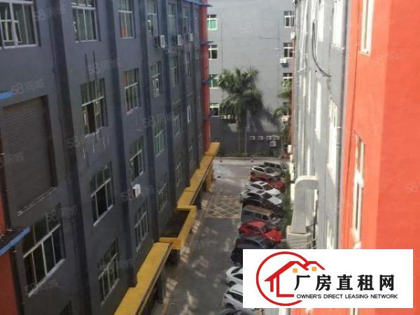  房东直招一楼厂房可做仓库，行业限制要求低，配套完善