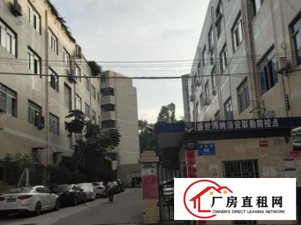  龙岗南联一楼780平方价格15元一平方