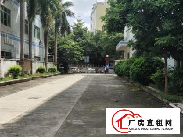  龙岗南联一楼780平方价格15元一平方