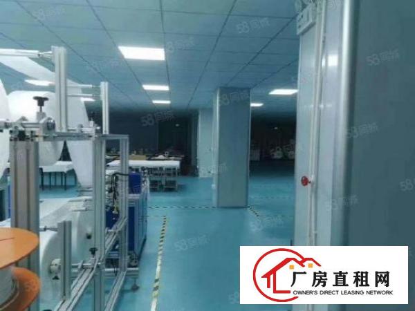  南联爱南路边新出二楼无尘车间1000平方无需转让费