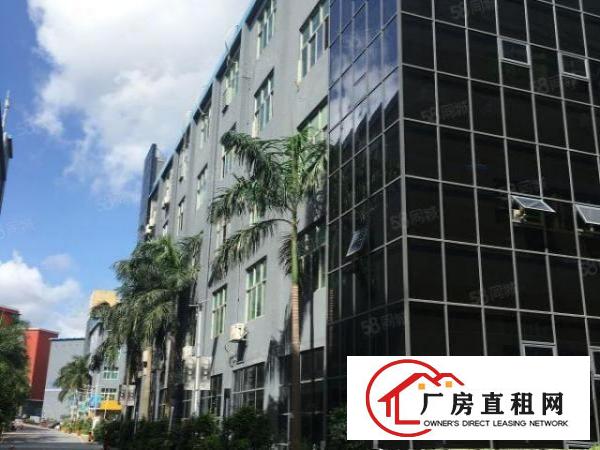  龙岗产业园特价直招280平可做办公仓库小加工