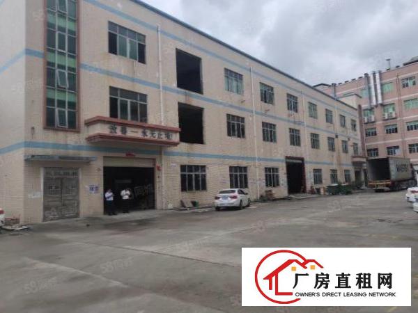  龙岗南联原房东一楼1450平厂房出租空地大实用率高大小可分租