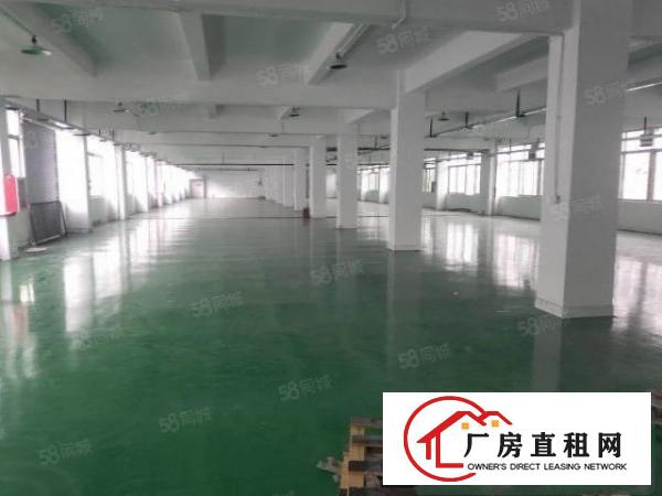  龙岗南联原房东一楼1450平厂房出租空地大实用率高大小可分租