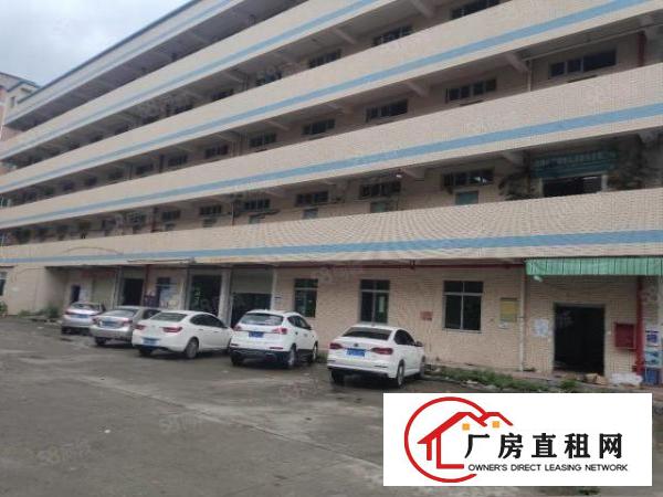  龙岗南联原房东一楼1450平厂房出租空地大实用率高大小可分租