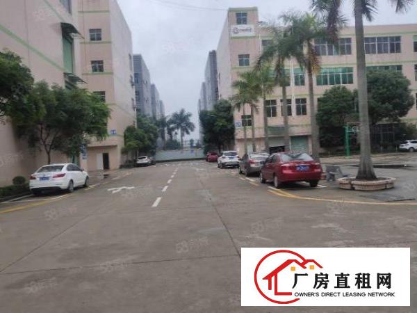  龙岗南联原房东一楼1450平厂房出租空地大实用率高大小可分租