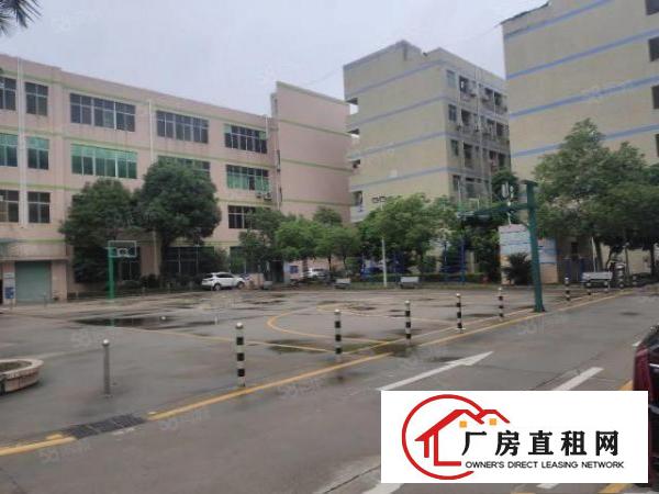  龙岗南联原房东一楼1450平厂房出租空地大实用率高大小可分租
