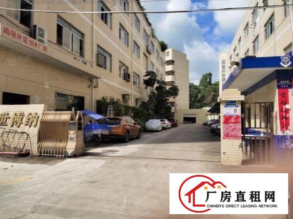  原房东实际面积一楼厂房1000平方带现成装修好的办公室和水电