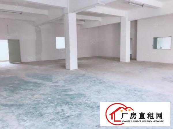  龙岗爱联地铁房东直租货梯停车位不收费精装办公价格可面议
