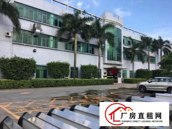  龙岗一楼厂房出租1860平新生仓库出租大马路边（可分租）