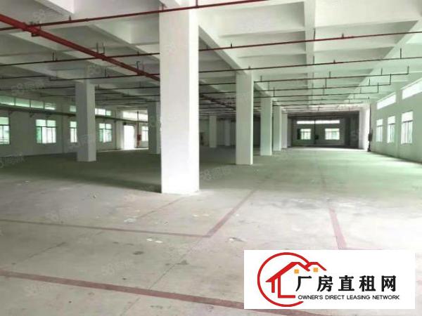  龙岗一楼厂房出租1860平新生仓库出租大马路边（可分租）