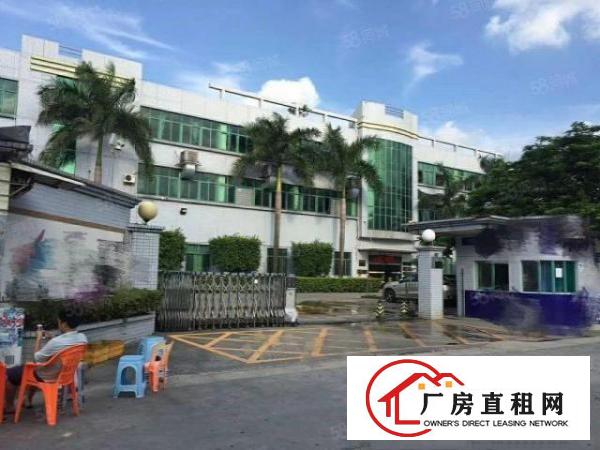  龙岗一楼厂房出租1860平新生仓库出租大马路边（可分租）