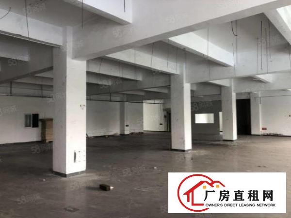  龙岗宝龙现成装修1200平方楼上厂房出租