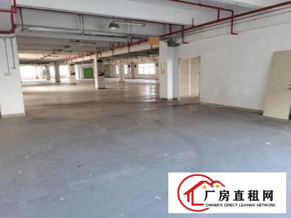  免租3个月起业主直租带红本消防厂房