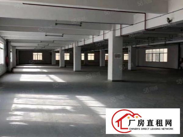  免租3个月起业主直租带红本消防厂房