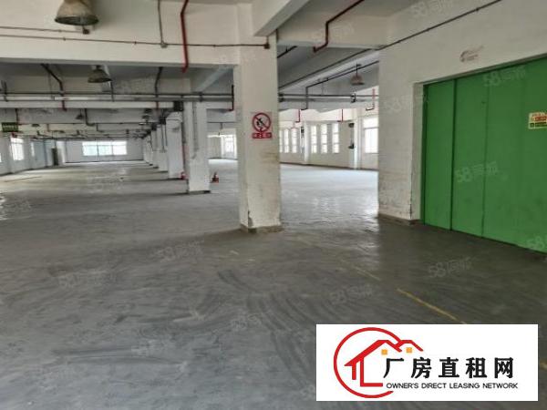  免租3个月起业主直租带红本消防厂房