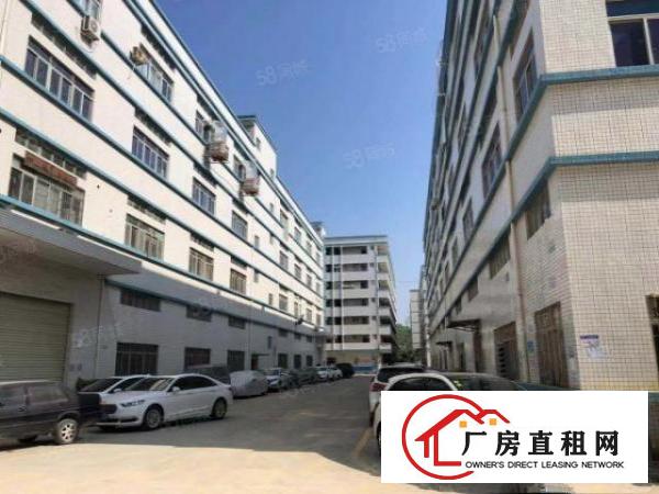  龙岗新生科技园2万平方厂房出租，500平起分租，部分带精装修