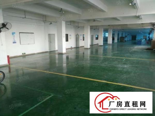  龙岗南联同乐原房东带装修厂房出租1200平实际面积可分租