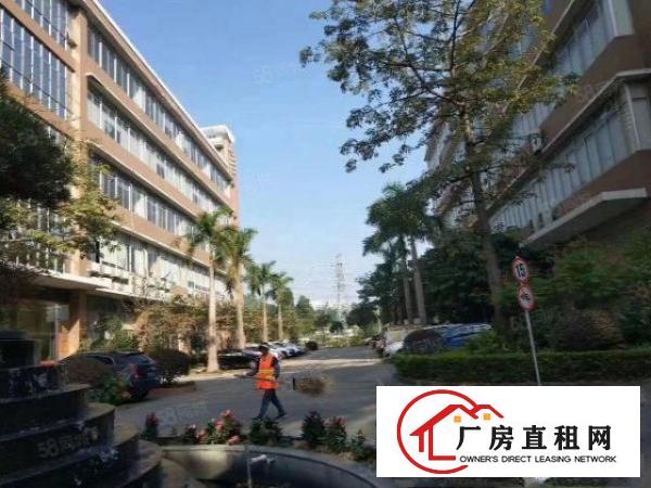  龙岗新生工业园原房东红本厂房出租1300平带装修可以分租