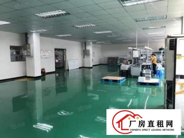  龙岗新生工业园原房东红本厂房出租1300平带装修可以分租