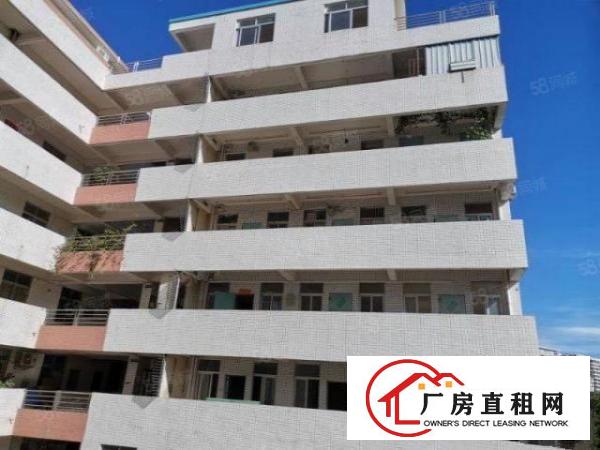  非中介)临街商铺，厂房业主直租