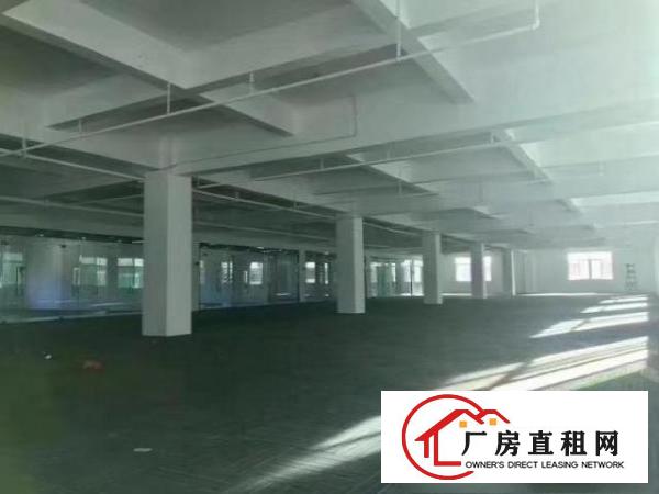  豪华环境优西式电商圆出租