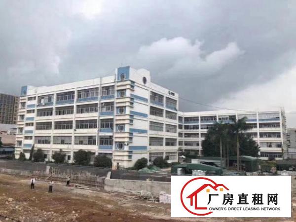  豪华环境优西式电商圆出租