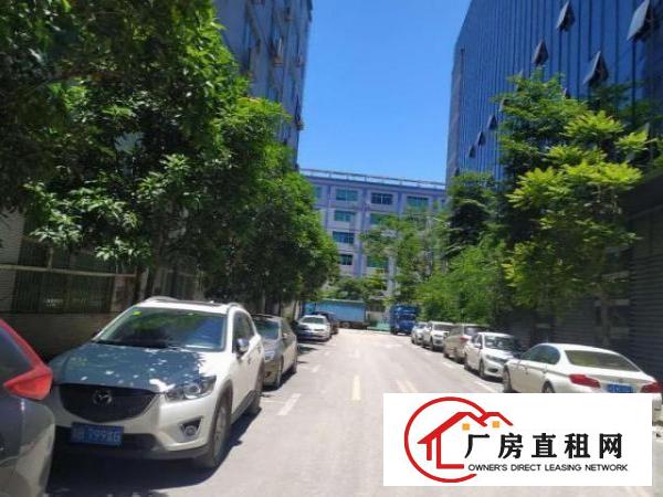  出租龙岗区坂田上需科技城北区8号E栋402转租