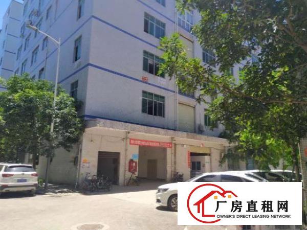  出租龙岗区坂田上需科技城北区8号E栋402转租