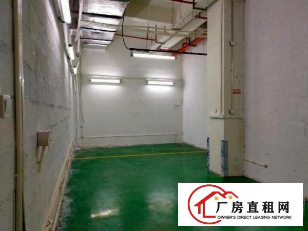  新天下华赛工业园厂房业主直租