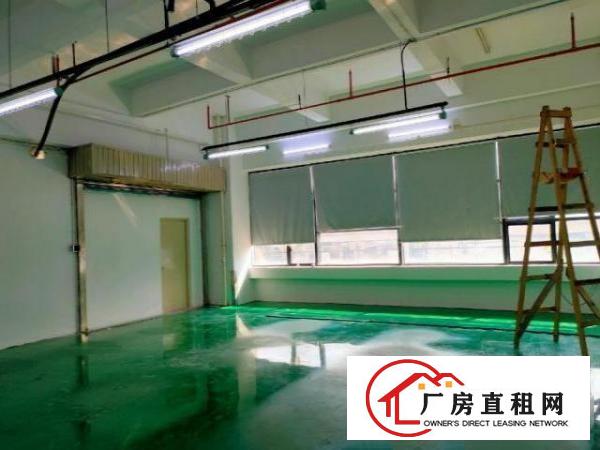  新天下华赛工业园厂房业主直租