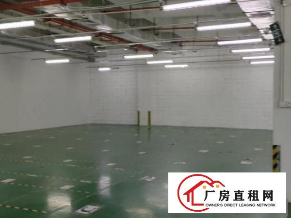  新天下华赛工业园厂房业主直租